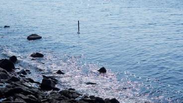 施設からの眺望 / 13