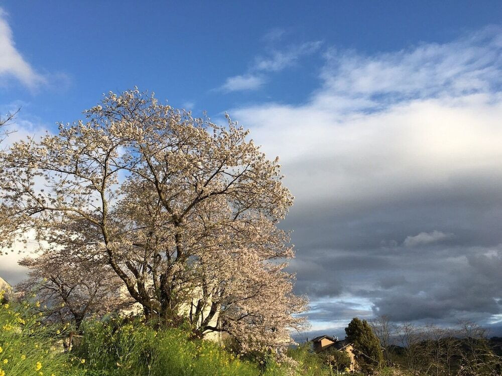 施設からの眺望
