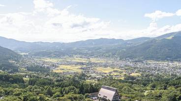 ランド ビュー / 14