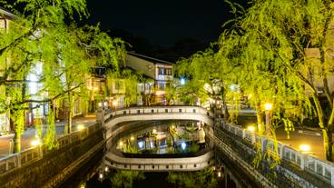 城崎温泉の街並み（夜） / 2