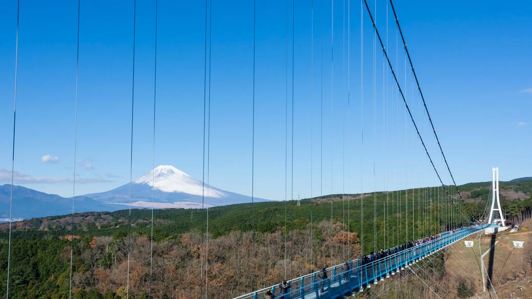 自然の中でリフレッシュ
「三島スカイウォーク」 / 1