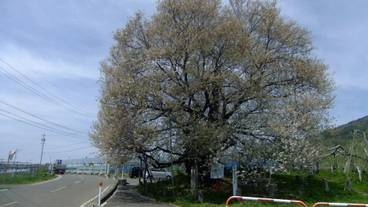 施設の敷地 / 22