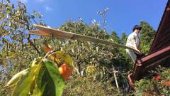 五右衛門 GOEMON KYOTO JAPAN