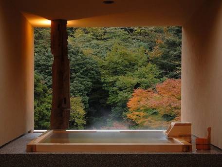 箱根湯本温泉 箱根水明荘 / 3