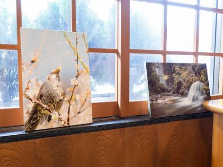 帰郷亭 ゆもとや（長野県） / 1