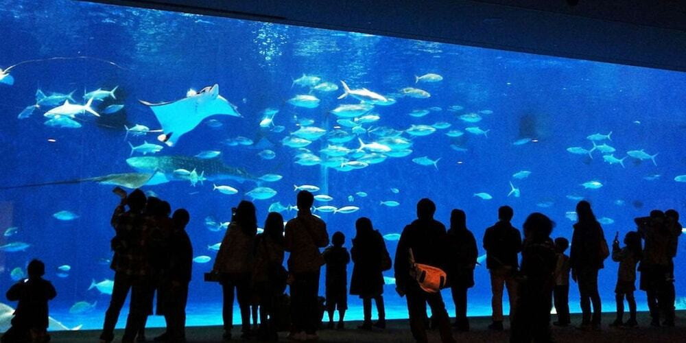 施設からの眺望