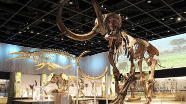 観光スポット / 8