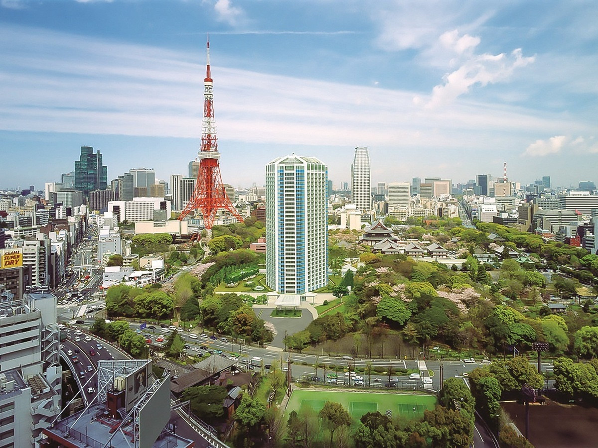 都心の森に浮かぶ夜景に胸はずむ3968192