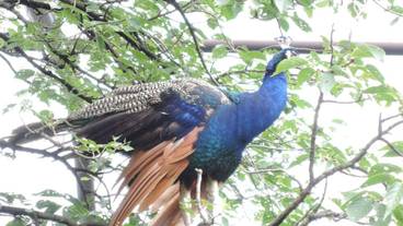 ハイキング / 10