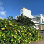 【石垣島】南の島でのんびりと♪おひとりさま旅におすすめのホテル＆ゲストハウス6選