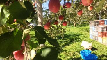 マウンテン ビュー / 21