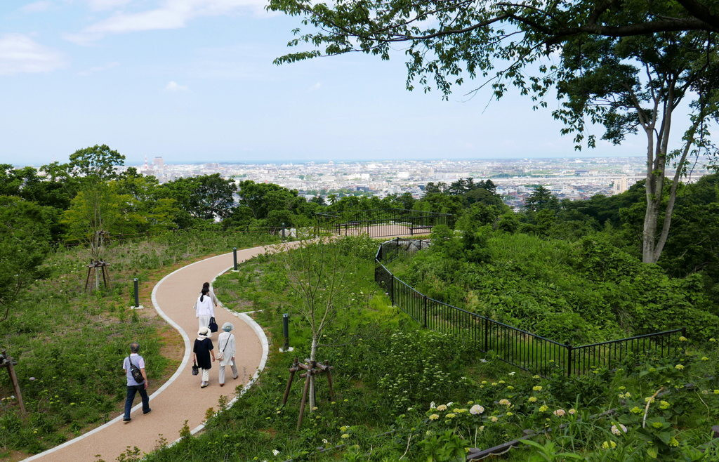 卯辰山公園2392636