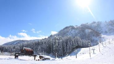 観光スポット / 13