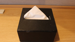 セミダブルルーム 禁煙