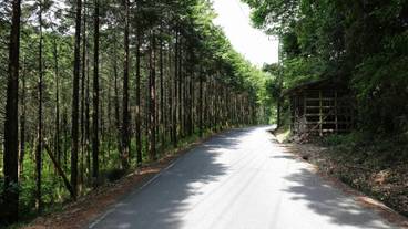 施設の敷地 / 10