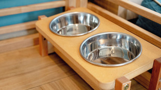 リニューアル ペットルーム 2F 禁煙 (3歳以下のお子様は添い寝となり無料の為, 検索時の予約人数に含めないで下さい)