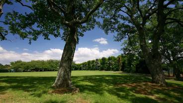 観光スポット / 14