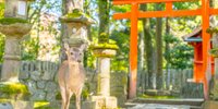 のんびりデートで奈良を満喫♡カップルにおすすめの観光スポット22選