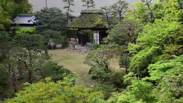 部屋からの景観 / 37