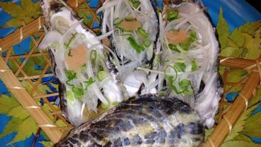 レストラン / 20