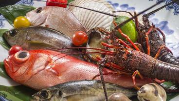 レストラン / 15