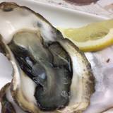 だいこう(ダイコウ)