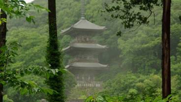 施設からの眺望 / 13