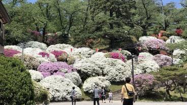 観光スポット / 15