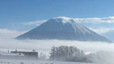 部屋からの景観 / 37