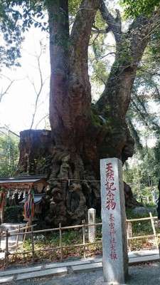 takako_daikichiさんの写真 / 1