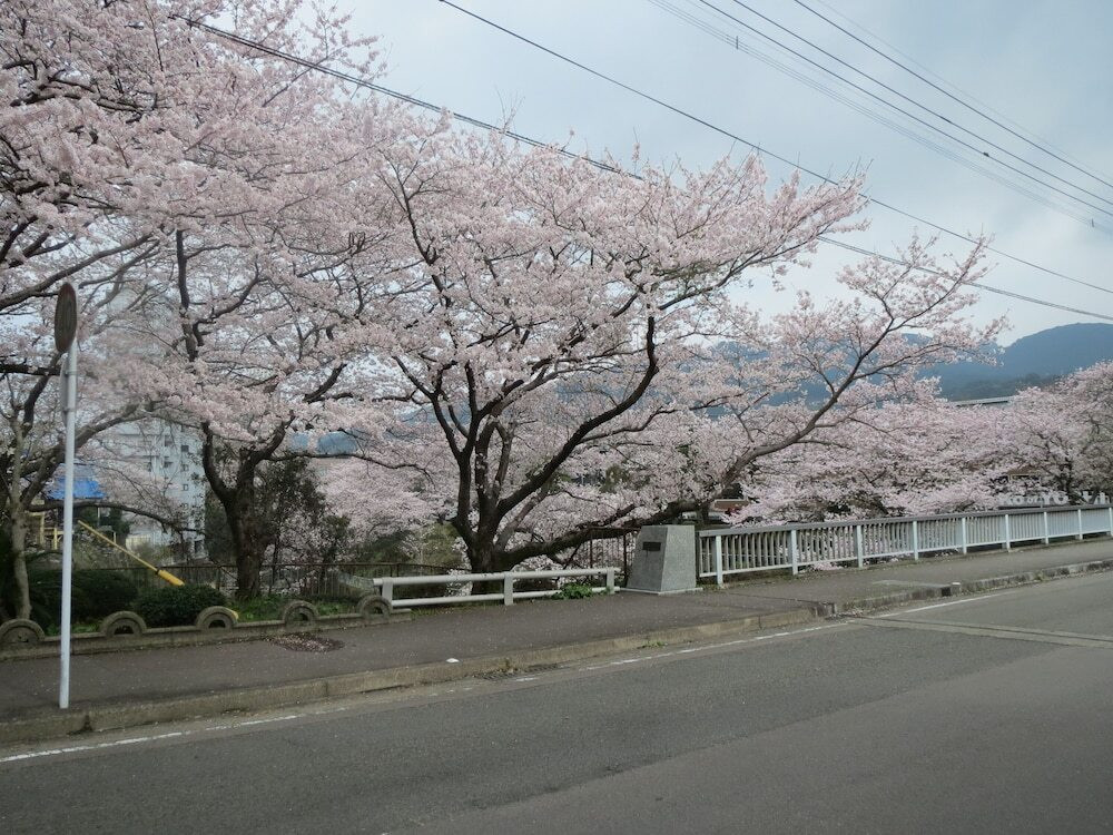 施設からの眺望