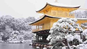 観光スポット / 8