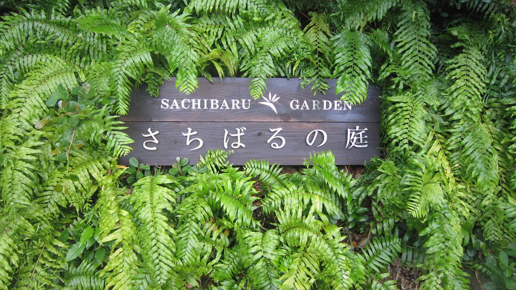 さちばるの庭 / 1