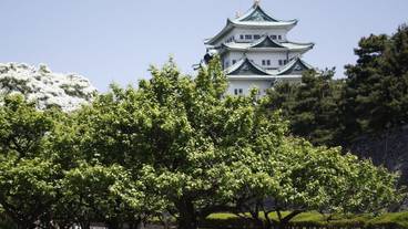 観光スポット / 2