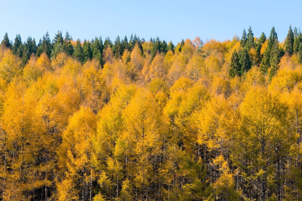 施設からの眺望