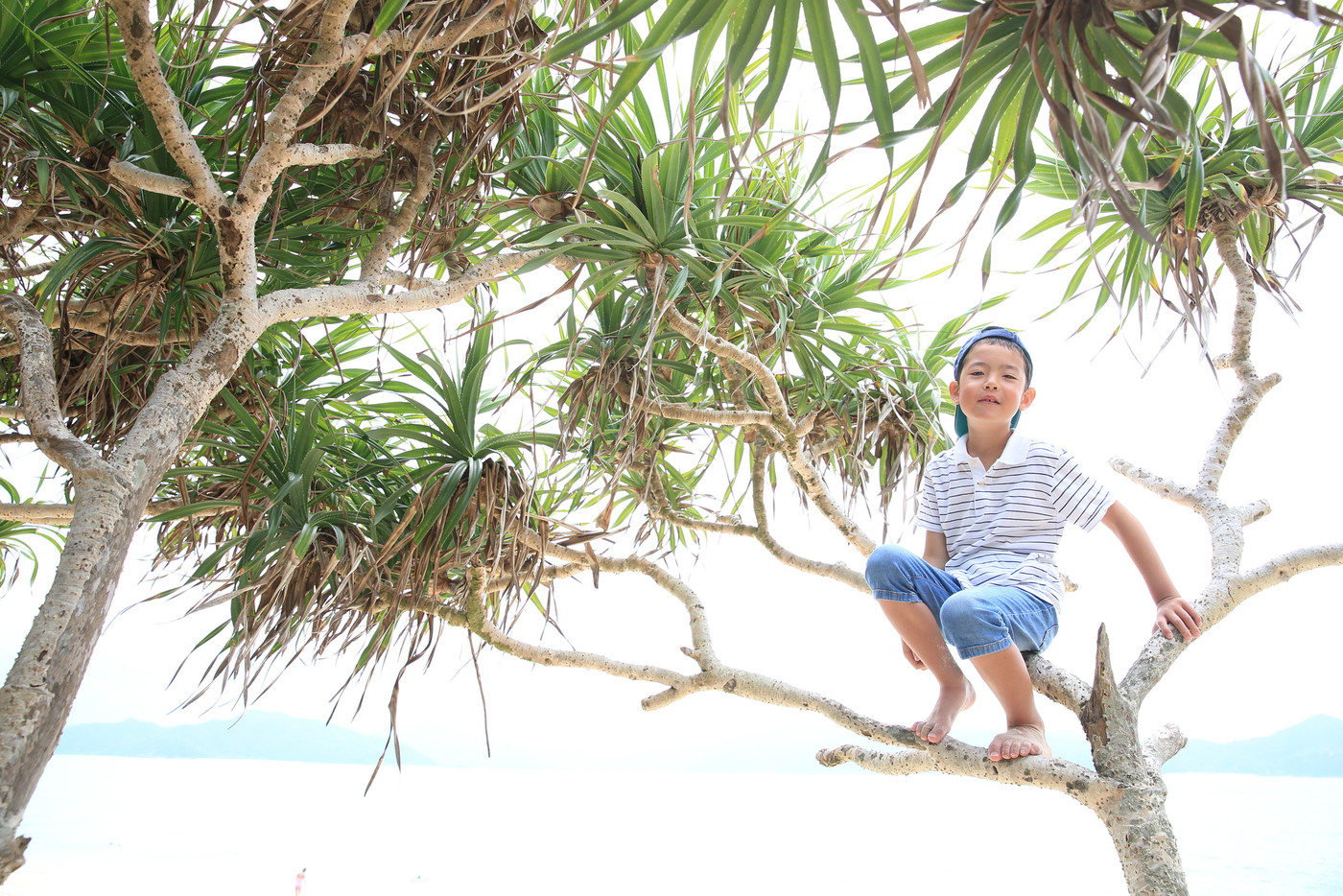 南国で木登りする子ども