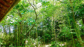 ファミリー 4 人部屋