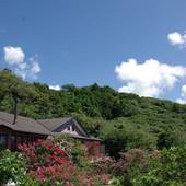 伊豆大島 ホテル＆リゾート マシオ（大島）（東京都 リゾートホテル） / 3