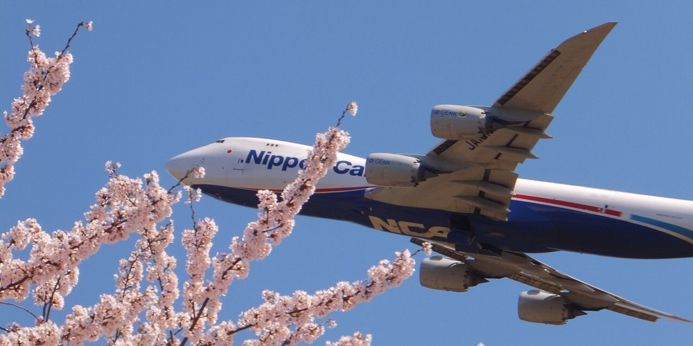 18年 成田空港はすぐそこ さくらの山公園 で迫力の飛行機と桜を見よう Icotto イコット