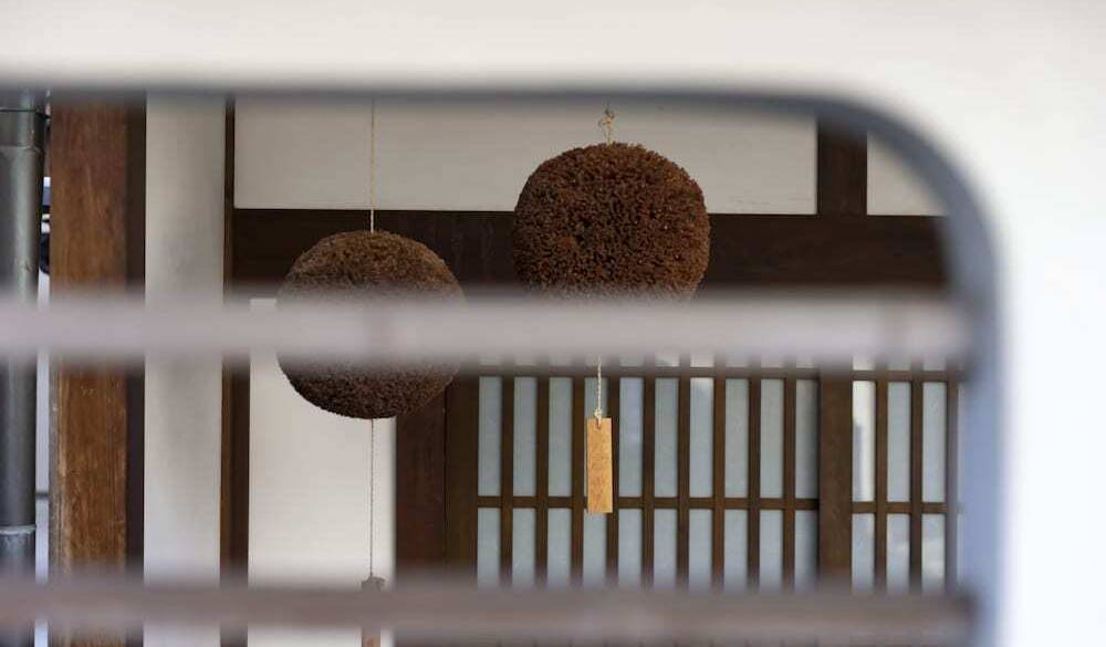 造り酒屋の象徴、杉玉 / 2