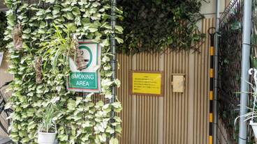 施設の敷地 / 11