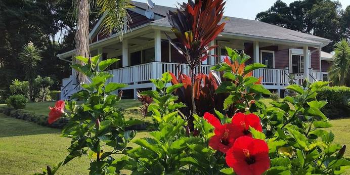コテージ HANA MANA（屋久島）（鹿児島県 コテージ・ロッジ・一棟貸） / 1