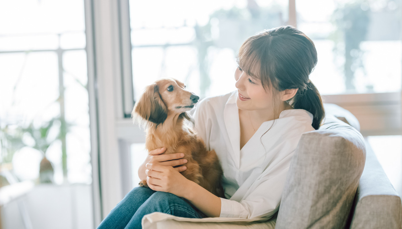 犬のいる暮らし　女性