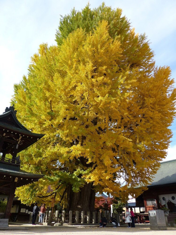 施設からの眺望