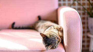 施設内の設備 / 8