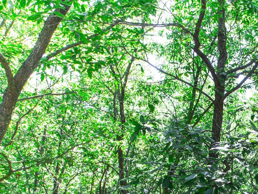 施設からの眺望