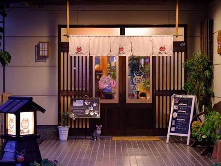 ゆふいん 笑ねこの宿 / 5