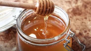 レストラン / 32