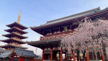 観光スポット / 12