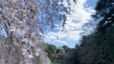 観光スポット / 29